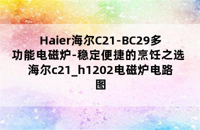 Haier海尔C21-BC29多功能电磁炉-稳定便捷的烹饪之选 海尔c21_h1202电磁炉电路图